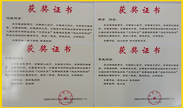 全国文明风采大赛获奖证书.jpg