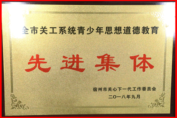 关工委先进集体奖牌_副本.jpg