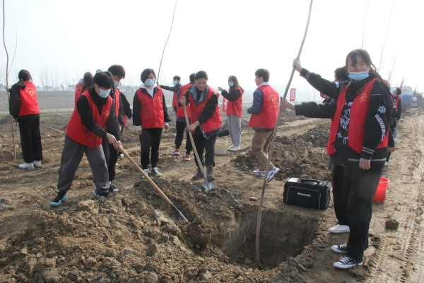 3.12植树01.jpg